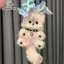 Nhíp sáng tạo DIY handmade mặt dây chuyền chất liệu dễ thương, phù hợp làm quà tặng ngày lễ Valentine cho bạn gái