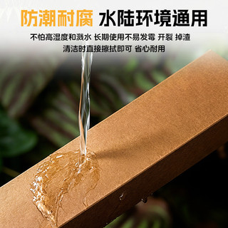 Gậy leo núi bò sát có thể cắt được Kết cấu tự nhiên Trang trí Terrarium cho tắc kè và thằn lằn