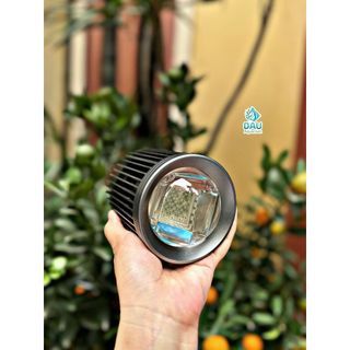 Đèn Lon Super Color Pro Cá Vàng, Cá Chép Phi Tần | Màu cá cực đẹp
