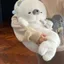 Dễ Thương Dễ Thương Dễ Thương Dễ Thương Ngủ Giấc Mơ Con Dấu Sang Trọng Đồ Chơi Búp Bê Kèm Búp Bê Chữa Bệnh Búp Bê Gửi Bé Gái Quà Tặng Sinh Nhật 4.22