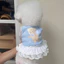 Thú Cưng Chó Quần Áo Mùa Xuân Mùa Hè Mỏng Áo Gấu Dễ Thương In Váy Ren Chó Con Bichon Schnauzi Quần Áo