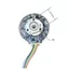 BL5520 Đất Hiếm Mạnh Từ Hỗ Trợ Chuyển Tiếp Xoay Ngược pwm Điều Chỉnh Tốc Độ Động Cơ Không Chổi Than Fascia Súng Máy Mát Xa Động Cơ 24V