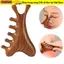 Lược Massage Kinh Tuyến Toàn Thân SUNKISSD, Lược Massage Đầu Năm Răng 4 in1, Răng Rộng Đa Năng Trị Liệu Gỗ Chống Tĩnh Điện Massage Lược Đầu Cổ Mũi Cheek