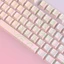 Exhila Bàn Phím Cơ Nâng Cấp Keycap Bộ 97 Key PBT Side Print Keycaps