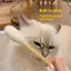 {BUDDI} Đồ chơi Catnip vui nhộn dành cho mèo Bông lớn hình con mèo con mài Sti {buddingenergy}