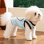 2026 Xuân Hè Teddy Bichon Thú Cưng Mỏng Quần Áo Mùa Hè Tình Yêu Áo D Khóa Đi Chơi Lực Kéo Quần Áo Con Chó Con Quần Áo Thoáng Mát