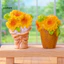 Linh hồn| Trang trí sân vườn thu nhỏ Bức tượng mèo thu nhỏ Tượng nhỏ và hoa hướng dương cho nhà búp bê Diy Trang trí cảnh chữa bệnh mục vụ dễ thương Micro hoàn hảo cho gia đình