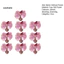 Linh hồn| Hoa lan bền lâu Hoa giả 10 chiếc Lụa nhân tạo Phalaenopsis Hoa lan Đầu hoa lan giả cho bó hoa cưới Thủ công Diy Trang trí nội thất Đông Nam Á