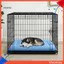 Bộ nhớ làm mát Giường sofa cho chó bằng bọt với vải tức thì Thảm cảm giác băng thoáng khí cho trong nhà ngoài trời mùa hè thoải mái Ghế sofa thú cưng hoàn hảo cho thời tiết nóng Giường thú cưng bằng bọt