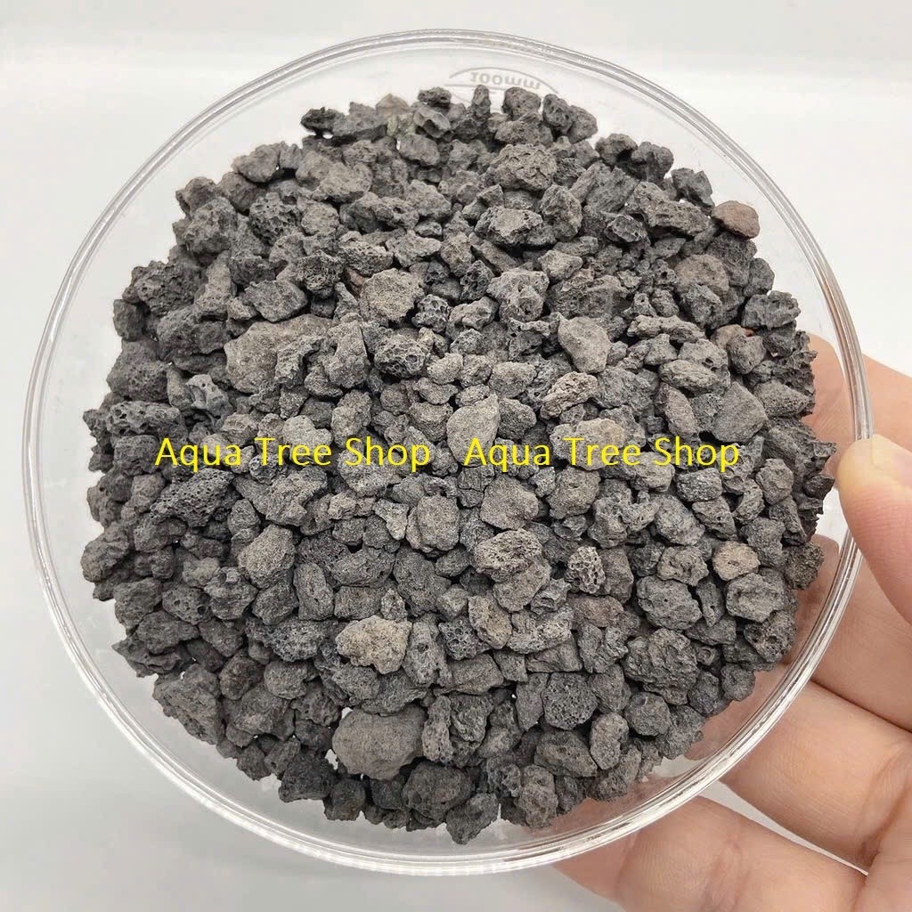 1kg Đá Nham Thạch Đỏ/ Đen Cho Sen Đá – Thoáng Rễ, Hạn Chế Úng