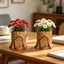 Treeling Charm Tree Stump Cottage Khuôn tuyệt vời để lưu trữ và trang trí trang sức