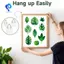 Móc treo tường Móc treo tranh Móc treo tường dính