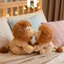 Rytanda Mô Phỏng Dễ Thương Sư Tử Sang Trọng Đồ Chơi Cho Bé Trai Bé Gái Sang Trọng Búp Bê Thú Nhồi Bông Gối Sư Tử Gối Ngủ Cho Bé Gái Quà Tặng Ngày Trẻ Em Phòng Ngủ Trang Trí Học Tập Quà Tặng Sinh Nhật