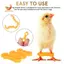Dây buộc chân gia cầm, 12Psc Baby Chick Splay Leg Hobble Brace, Móc treo chân gà con cho bé, Niềng răng nướng gà