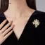 AqToCna Cây Tiền Thổ Cẩm Cho Nữ Kim Cương Giả Pha Lê Thanh Lịch Pin Cho Áo Đầm Quần Áo Quà Tặng Cho Các Bữa Tiệc AqToCna