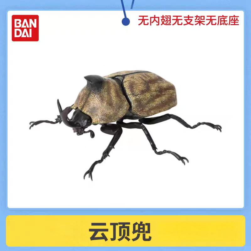 [BTF] Hàng có sẵn BANDAI Capsule Toy Sinh học Sách minh họa lớn Beetle 10 Rhinoceros Beetle Unicorn Pocket Worm Trang trí E42B