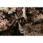 Xanh Trắng Van Gogh Tranh Sơn Dầu Vải Jacquard Handmade DIY Túi Cứng Hồ Sơ Áo Váy Quần Áo Thiết Kế Vải 4.24