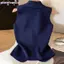 Khung Ảnh Nữ V-Neck Không Tay Sang Trọng, Thích Hợp Ngày Thường Và Mùa Hè