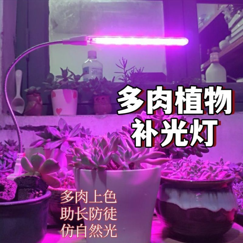 Đèn Led Giả Mặt Trời Cây Tăng Trưởng Trong Nhà Nhiều Đầy Ánh Sáng Cây Xanh Hợp Tác Ánh Sáng Bể Cá Cảnh Quan Ánh Sáng Mặt Trời 5.9