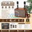 Loa Bluetooth Karaoke SK-2039 Qixi Bass Trầm Mạnh Tặng 2 Micro Không Dây Giá Tốt