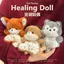 Những Điều Tốt Đề Nghị Làm Nhẹ Nhàng Túi Đậu Hạt Chữa Bệnh Pinch Búp Bê Cừu Dễ Thương Cáo Thỏ Sang Trọng Gấu Cô Gái Quà Tặng Sinh Nhật QRFTR