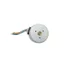 BL5520 Đất Hiếm Mạnh Từ Hỗ Trợ Chuyển Tiếp Xoay Ngược pwm Điều Chỉnh Tốc Độ Động Cơ Không Chổi Than Fascia Súng Máy Mát Xa Động Cơ 24V