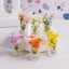 Dạ Quang Mini Mini Thu Nhỏ Mô Phỏng Bó Hoa Ba Chiều Nhựa Thủ Công Ô Tô Để Bàn Micro Phong Cảnh Tự Làm Đồ Trang Trí Làm Vườn Trang Trí