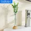 Bình Hoa Mini Trong Suốt Chậu Trồng Trong Suốt Nhỏ Sáng Tạo Đế Tre Giá Đỡ Cây Bình Cho Bàn Làm Việc Phòng Ngủ Phòng Khách