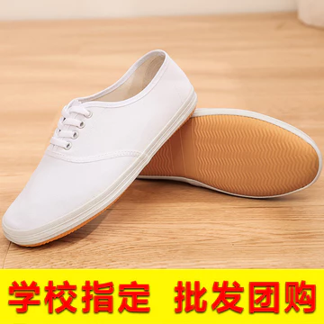 Giày Trắng Nhỏ Nam Nữ Giày Khiêu Vũ Trong Nhà Giày Vải Giày Trắng Giày Thể Thao Giày Lưới Trắng Giày Võ Thuật Giày Trắng Giày Công Sở Trắng