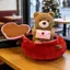 【SKISOPGO】Gấu Bông Hình Trái Tim,Có Khóa Mở Ra Teddy Ôm Thư Dễ Thương,Thú bông 2in1 làm,làm quà tặng bạn gái ý nghĩa
