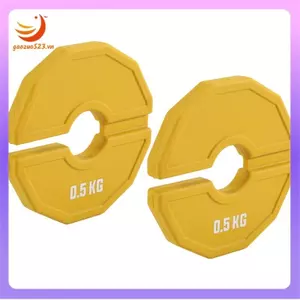 2 Tấm tập thể dục Micro-Type Đĩa tạ Đĩa trọng lượng phân số Tấm trọng lượng cao su Tấm trọng lượng phân số Tấm khẩu độ bổ sung 35mm 0,5kg