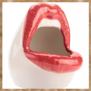 Nồi Xương Rồng, Hộp Đựng Cây Hoa Nhỏ Bằng Gốm Sứ Trồng Môi Lớn Gợi Cảm Cho Gia Đình, Đỏ
