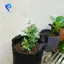 Chậu vải hạng nặng, Túi trồng rau / hoa / cây, Chậu vải không dệt dày có tay cầm (5 gallon)