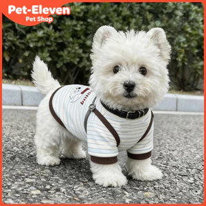 Quần Áo Thú Cưng Sữa Trắng Sọc Vest Chó Nhỏ Teddy Bichon Corgi Xuân Hè Áo Mỏng Thoáng Khí Hai Chân Quần Áo