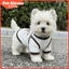 Quần Áo Thú Cưng Sữa Trắng Sọc Vest Chó Nhỏ Teddy Bichon Corgi Xuân Hè Áo Mỏng Thoáng Khí Hai Chân Quần Áo