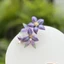 Phong Cách Cổ Đại Phong Cách Trung Hoa Hanfu Đẹp Mô Phỏng Hoa Kẹp Tóc Siêu Cổ Tích Phụ Kiện Tóc Kẹp Tóc Hoa Cổ Điển Đầu Hoa Lụa Hoa Phụ Kiện Tóc