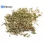 10 / 50 Bộ công cụ loại bỏ liên kết đồng hồ Dây đeo đồng hồ Dụng cụ tháo chốt liên kết để điều chỉnh dây đeo đồng hồ và sửa chữa đồng hồ Đẹp