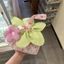 In đầy đủ Dâu Nơ Hình Hoa Túi Xách Ngọt Ngào Tươi Tím Vàng Xanh Lưới Túi Xách Hoa Nhỏ Túi Xách