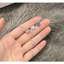 Ｂông tai nữ zircon màu sắc đơn giản, đa năng