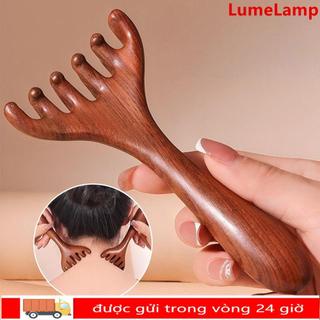 Lược tay cầm dài LUMELAMP, Lược Massage kinh tuyến đầu cầm tay sáu móng, Dụng cụ cào lưng răng rộng chống tĩnh điện để thúc đẩy lưu thông máu