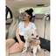Áo phông cổ tim tay ngắn nữ TT 4 mùa💋Áo thun cổ tim nữ tay hến💋[freeship] Linh Tây.Clothing