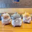 MAKY Mèo Mới Giảm Căng Thẳng Squishy Đồ Chơi PU Chậm Bóp Antistress Bóng Hoạt Hình Bàn Đồ Trang Trí Squishy Giảm Căng Thẳng Đồ Chơi VN