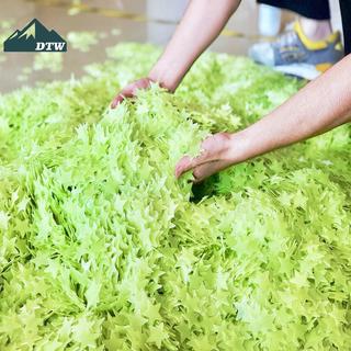 DTW - 100 Chiếc Dạ Quang Ngôi Sao Treo Tường Phù Hợp Trang Trí Nhà Thể Thao
