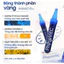 Nước Uống Tảo Tươi PhycoVitC Avenir 14 Ống – Hỗ Trợ Chống Oxy Hóa, Làm Đẹp Da Từ Bên Trong