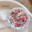 Làm móng tay Chất liệu hoa khô Mix Match Fresh Five-Petal Flower Monet Garden Đá tinh tế Trong suốt Hoa khô Trang sức móng tay Narcissus
