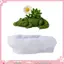 YOI Khuôn Silicone Cá Sấu cho Nhựa, Bê Tông, Đựng Trang Sức và Trang trí Cây Mọng Nước