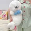 Dễ Thương Dễ Thương Dễ Thương Dễ Thương Ngủ Giấc Mơ Con Dấu Sang Trọng Đồ Chơi Búp Bê Kèm Búp Bê Chữa Bệnh Búp Bê Gửi Bé Gái Quà Tặng Sinh Nhật 4.22