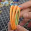 MAKY DIY Đặc Biệt Masking Model Tape Siêu Mỏng Và Linh Hoạt Cho Tranh 5 Kích Thước Tùy Chọn Cho Sở Thích Bộ Dụng Cụ Mô Hình VN