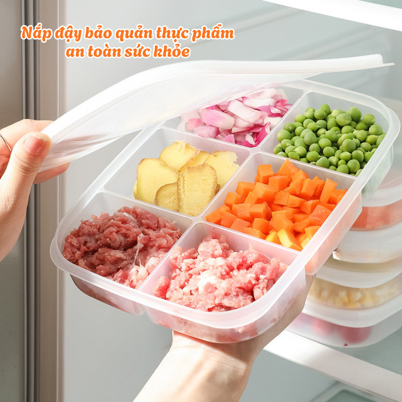 Hộp Đựng Thực Phẩm Chia Ngăn Thông Minh – Khay Trữ Đông Thịt & Đồ Sơ Chế Có Nắp Không Ám Mùi Dino