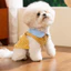 Chó Con Quần Áo 2026 Bichon Schnauzer Teddy Thú Cưng Mèo Mùa Xuân Mùa Hè Áo Mỏng